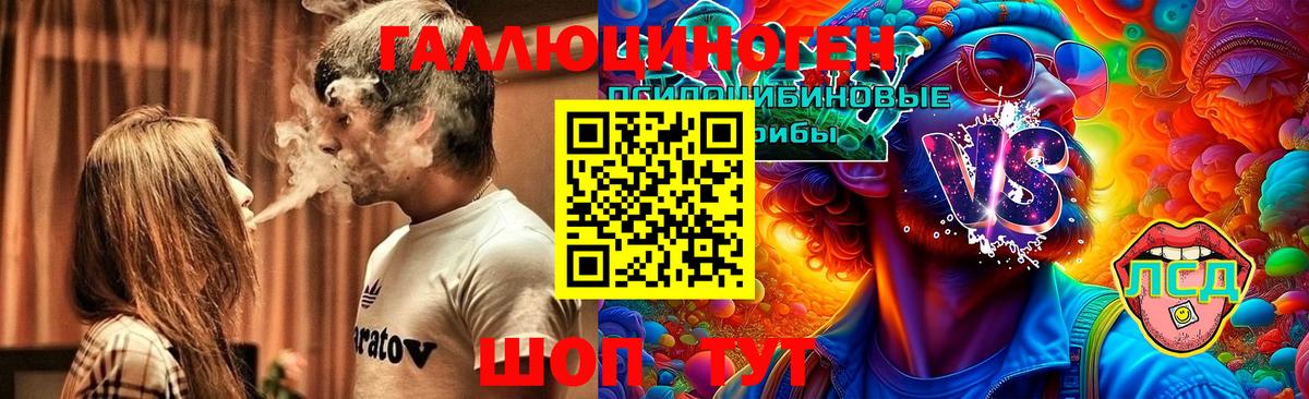 Псилоцибиновые грибы MAGIC MUSHROOMS  хочу   Красногорск  Галлюциногенные грибы Psilocybe  Вход с VPN 